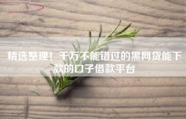 精选整理！千万不能错过的黑网贷能下款的口子借款平台