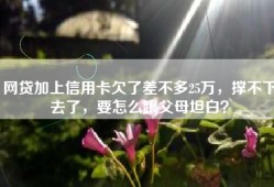 网贷加上信用卡欠了差不多25万，撑不下去了，要怎么跟父母坦白？