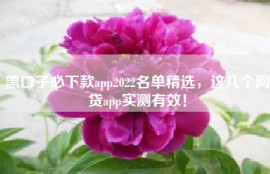 黑口子必下款app2022名单精选，这几个网贷app实测有效！