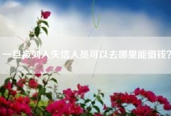 一旦被列入失信人员可以去哪里能借钱？