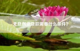 无息创业贷款需要什么条件？