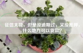 征信太花，但是没逾期过，又没抵押，什么地方可以贷款？
