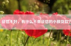 征信不好，有什么不查征信的小额贷款？