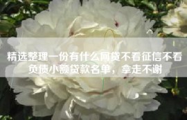 精选整理一份有什么网贷不看征信不看负债小额贷款名单，拿走不谢