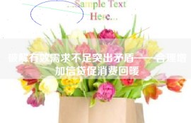 破解有效需求不足突出矛盾——合理增加信贷促消费回暖