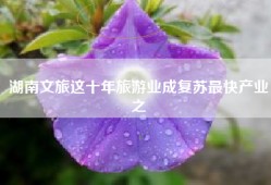 湖南文旅这十年旅游业成复苏最快产业之