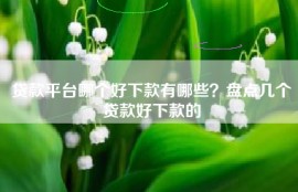 贷款平台哪个好下款有哪些？盘点几个贷款好下款的