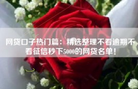 网贷口子热门篇：精选整理不看逾期不看征信秒下5000的网贷名单！
