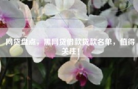 网贷盘点，黑网贷借款贷款名单，值得关注！