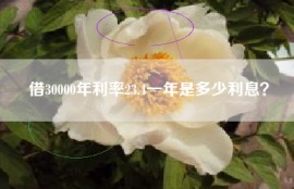 借30000年利率23.4一年是多少利息？
