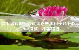 网上借钱被拒，试试这些黑口子必下款app2022贷款，不容错过
