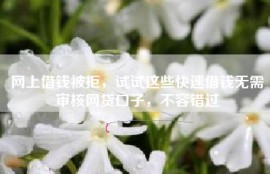 网上借钱被拒，试试这些快速借钱无需审核网贷口子，不容错过