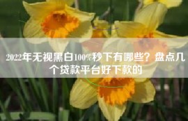 2022年无视黑白100%秒下有哪些？盘点几个贷款平台好下款的