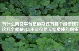 有什么网贷平台是逾期还有哪个能借钱？这几个就是2022不查征信无视负债的网贷