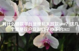 有什么借款平台是纯私人放款5000？这几个就是花户贷款口子秒下的2022