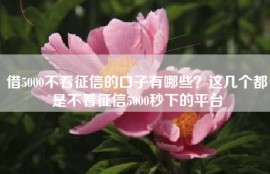 借5000不看征信的口子有哪些？这几个都是不看征信5000秒下的平台