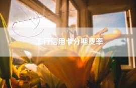 工行信用卡分期费率