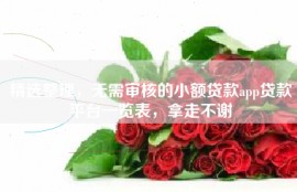 精选整理，无需审核的小额贷款app贷款平台一览表，拿走不谢