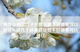 有什么借款口子是我征信不好哪里可以借钱？这几个就是我征信不好哪里可以借钱