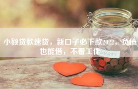 小额贷款速贷，新口子必下款2022，负债也能借，不看工作