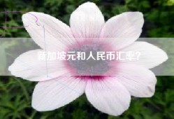 新加坡元和人民币汇率？