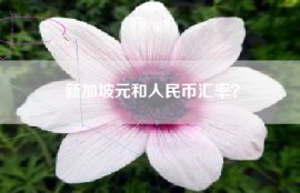 新加坡元和人民币汇率？