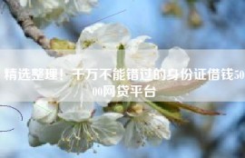 精选整理！千万不能错过的身份证借钱5000网贷平台