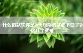 什么借款软件是30天短期借款必下口子？这几个就是