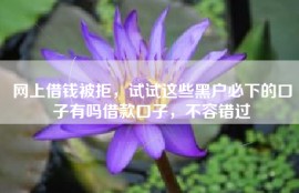 网上借钱被拒，试试这些黑户必下的口子有吗借款口子，不容错过