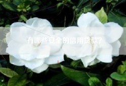 有哪些安全的信用贷款？