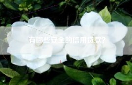 有哪些安全的信用贷款？