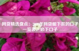 网贷精选盘点：2022年网贷能下款的口子一览表，必下口子