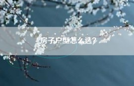 房子户型怎么选？