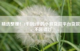 精选整理！1千到3千的小额贷款平台贷款，不容错过