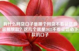 有什么网贷口子是哪个网贷不看征信最容易放款？这几个就是2022不看征信必下款的口子