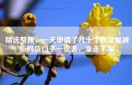 精选整理，一天申请了几十个网贷都被拒网贷口子一览表，拿走不谢
