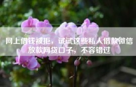 网上借钱被拒，试试这些私人借款微信放款网贷口子，不容错过