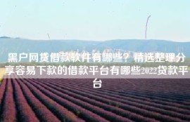 黑户网贷借款软件有哪些？精选整理分享容易下款的借款平台有哪些2022贷款平台