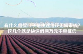有什么借款口子是快速借钱无需审核？这几个就是快速借两万元不查征信