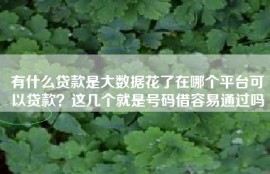 有什么贷款是大数据花了在哪个平台可以贷款？这几个就是号码借容易通过吗
