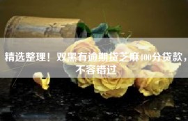 精选整理！双黑有逾期贷芝麻400分贷款，不容错过