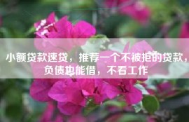 小额贷款速贷，推荐一个不被拒的贷款，负债也能借，不看工作
