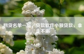 网贷名单一览，贷款软件小额贷款，拿走不谢