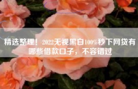 精选整理！2022无视黑白100%秒下网贷有哪些借款口子，不容错过