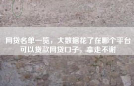 网贷名单一览，大数据花了在哪个平台可以贷款网贷口子，拿走不谢
