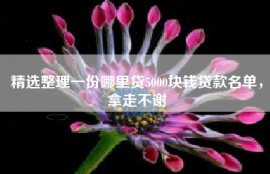 精选整理一份哪里贷5000块钱贷款名单，拿走不谢