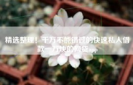 精选整理！千万不能错过的快速私人借款一万块的网贷app