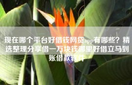 现在哪个平台好借钱网贷app有哪些？精选整理分享借一万块钱哪里好借立马到账借款软件
