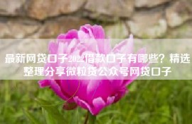 最新网贷口子2022借款口子有哪些？精选整理分享微粒贷公众号网贷口子