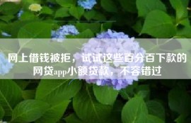 网上借钱被拒，试试这些百分百下款的网贷app小额贷款，不容错过